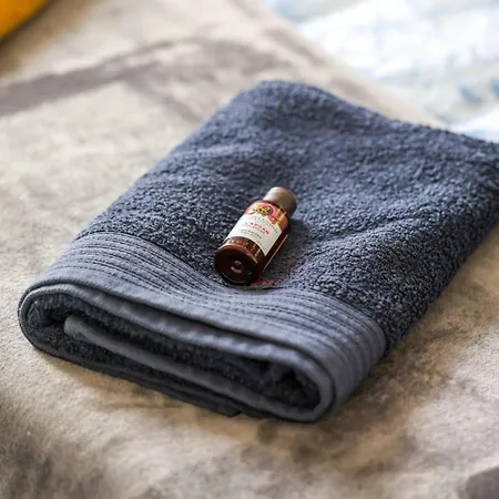 Hébergement de vacances Logis Debussy- *